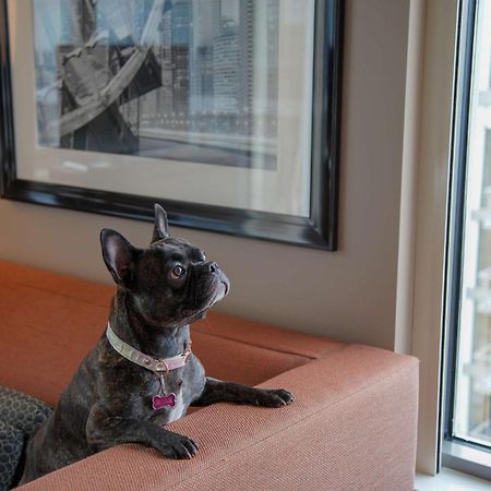Homewood Suites By Hilton Chicago West Loop Fulton Mkt Area Buitenkant foto