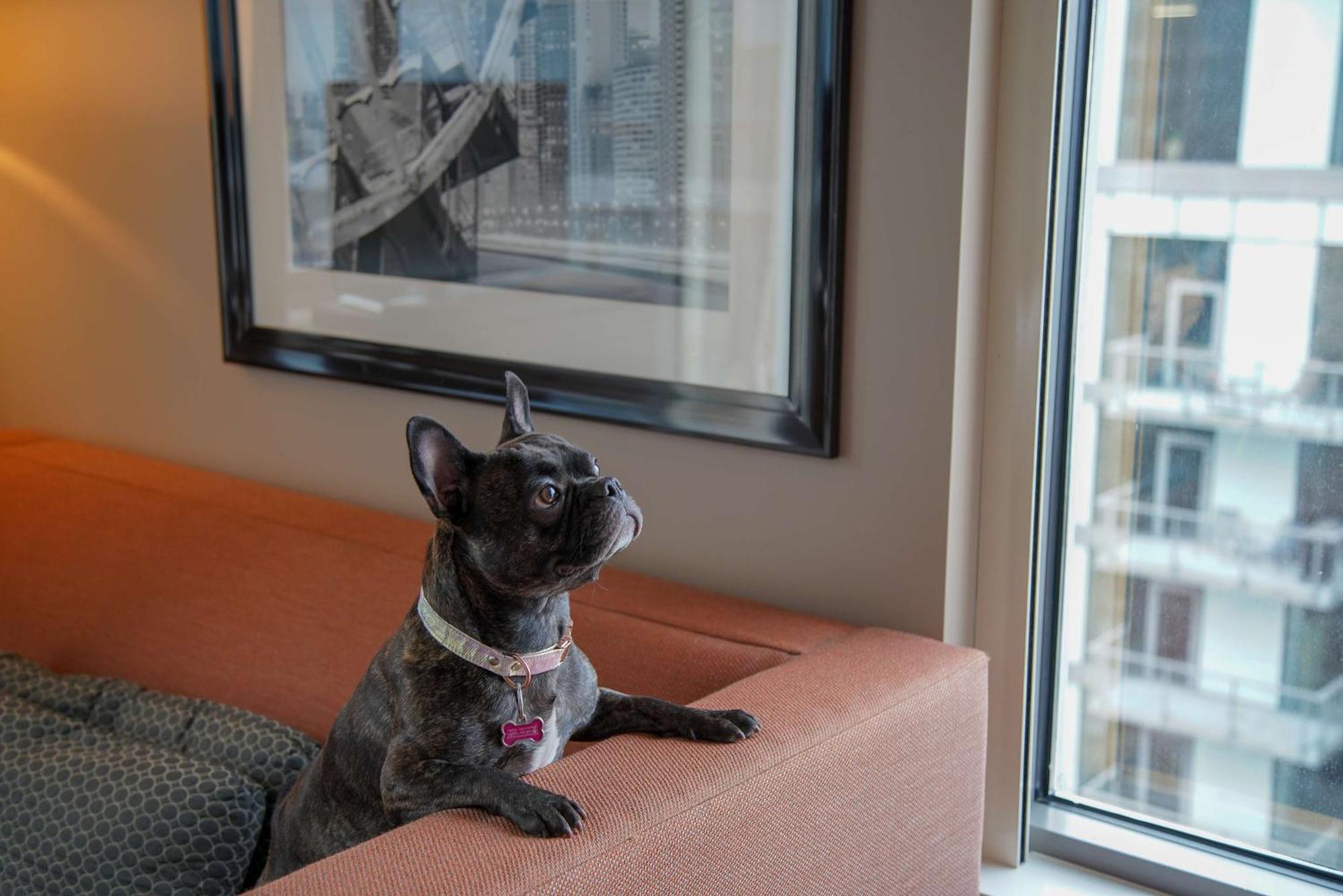 Homewood Suites By Hilton Chicago West Loop Fulton Mkt Area Buitenkant foto